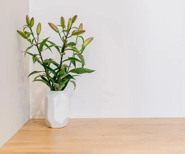 Yourapart Haffnera 70 سوبوت